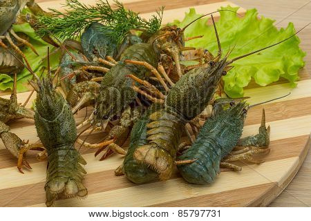 Raw Crayfish