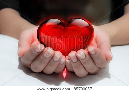 donate your heart