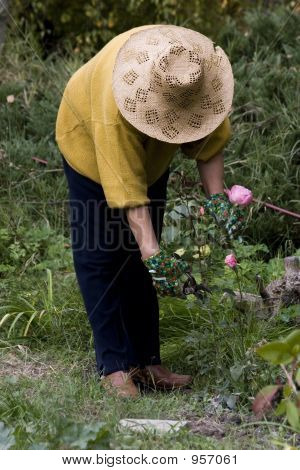 Gardening_09