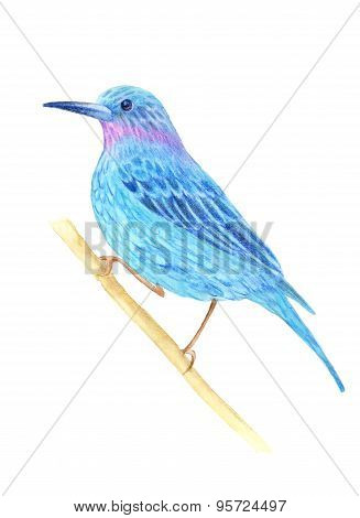 Watercolor pattern