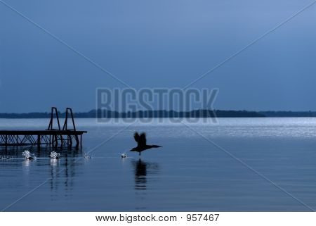 Natur i bevægelse