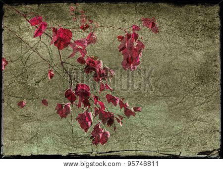 Floral Grunge Background