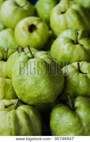 Guava