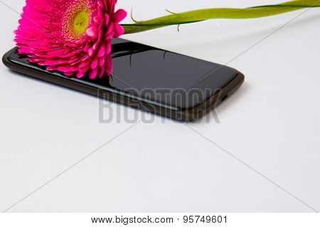 Pink Gerbera And Smartphone