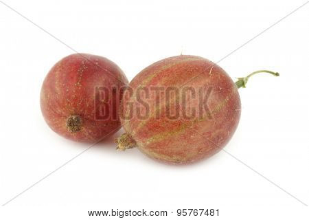 gooseberries (Ribes uva-crispa) on a white background