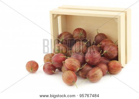 gooseberries (Ribes uva-crispa) in a wooden box on a white background