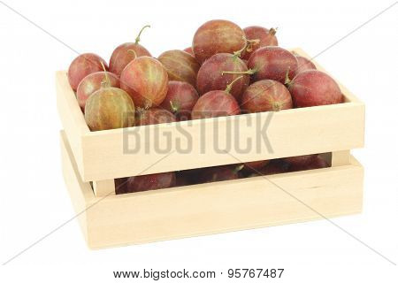gooseberries (Ribes uva-crispa) in a wooden box on a white background