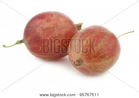 gooseberries (Ribes uva-crispa) on a white background
