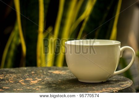 Cup Of Coffee