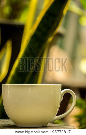 Cup Of Coffee