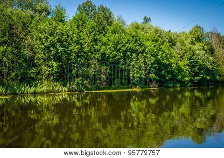 Calm river on a clear day