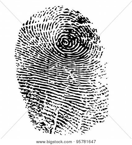 Fingerprint Vector