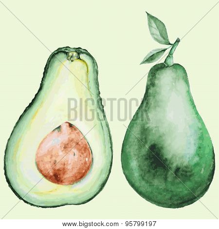 Watercolor avocado