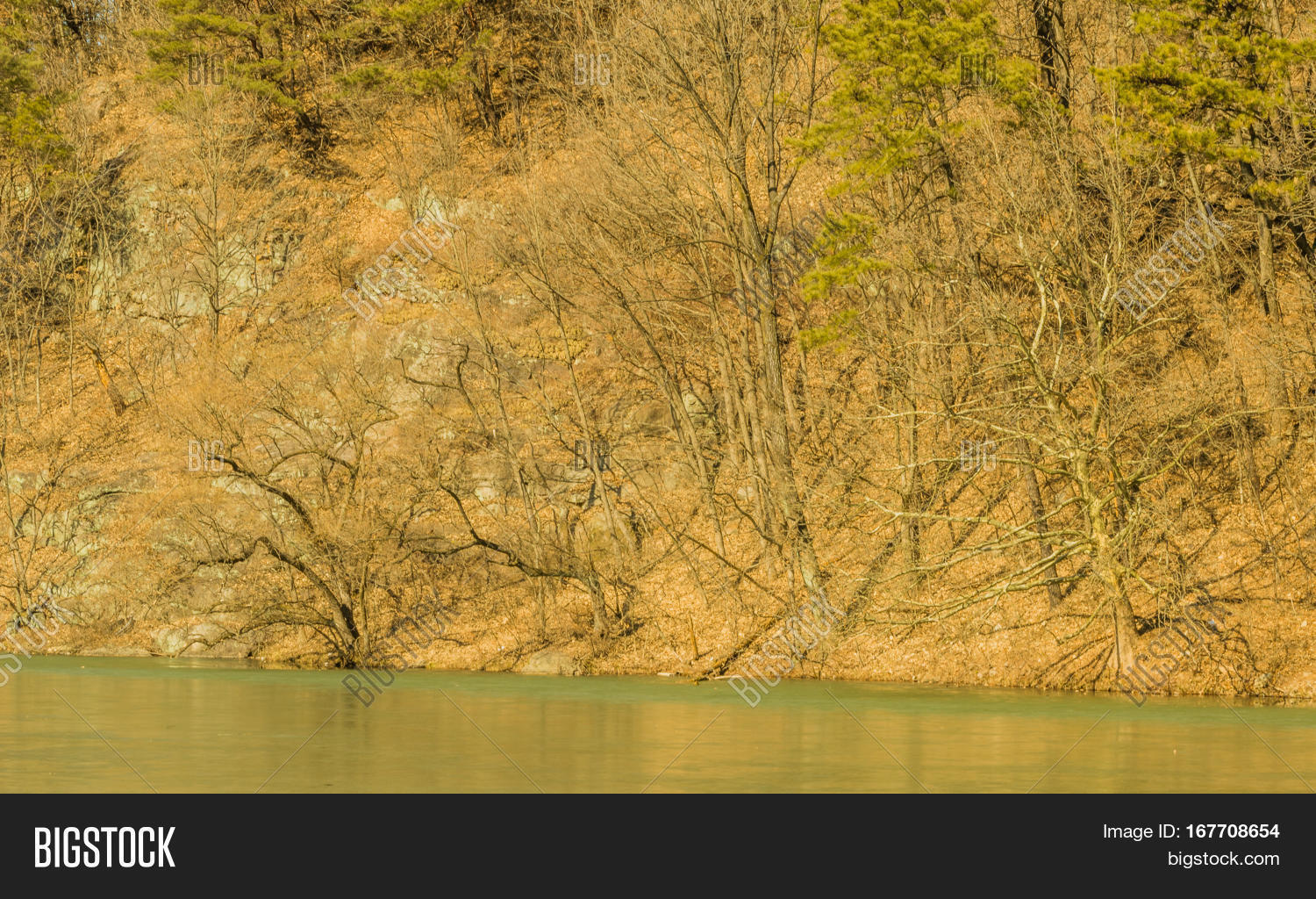 Landscape River Shore Image & Photo (Free Trial) | Bigstock