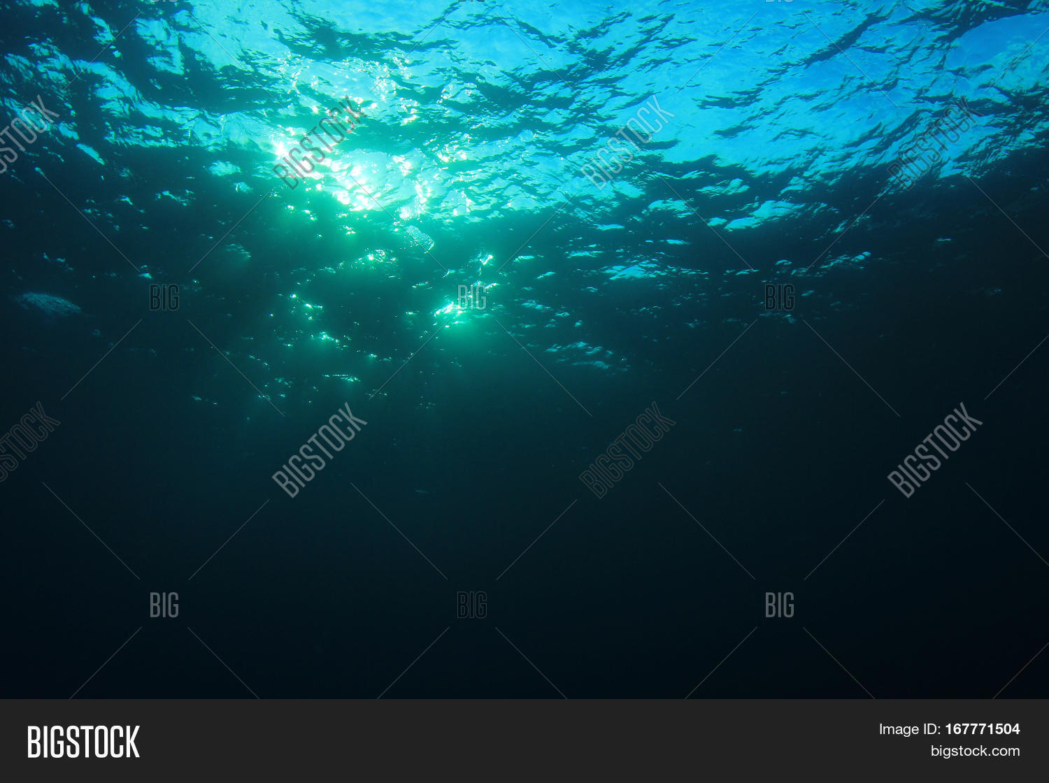 Underwater Blue Ocean Image & Photo (Free Trial) Bigstock