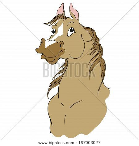 Horse cartoon character. Buckskin suit. Horse head isolated on a white background. Vector.