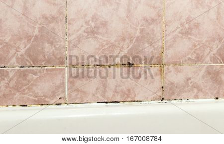 Black mold fungus growing in damp poorly ventilated bath areas, in detail an unmaintained bathroom