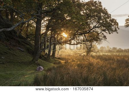 Beautiful Foggy Misty Autumn Sunrise Over Countryside Surrounding Crummock Water In Lake District In