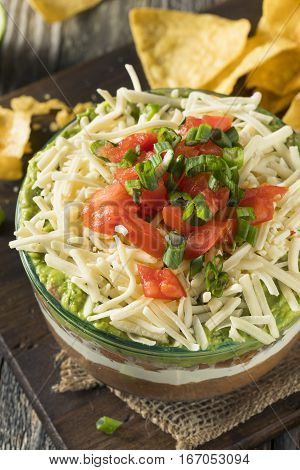 Homemade Mexican 7 Layer Dip
