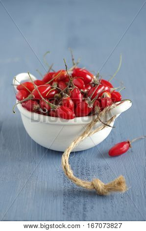 fresh undried goji berries in front of a blue wooden background