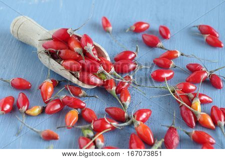 fresh undried goji berries in front of a blue wooden background