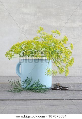 fresh tasty yellow dill weed garden fresh