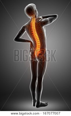 3D Illustration of male Feeling the back pain