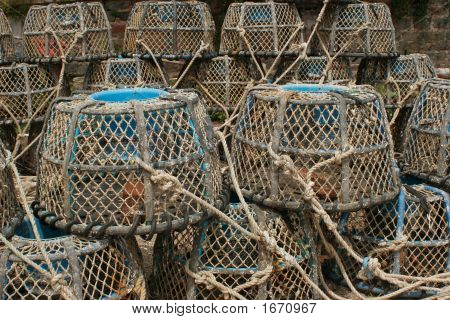 Cremagliere del mare