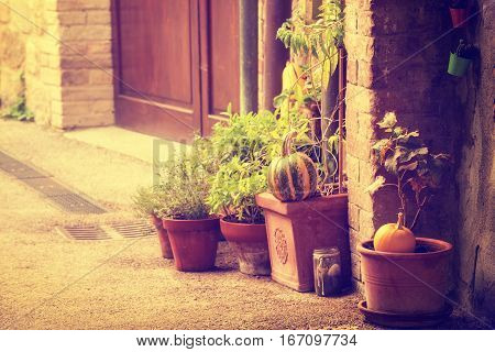 Empty street of small Tuscany town San Quirico d'Orcia in the morning fog with halloween pumpkin decorations. Romantic travel vintage hipster european italy background