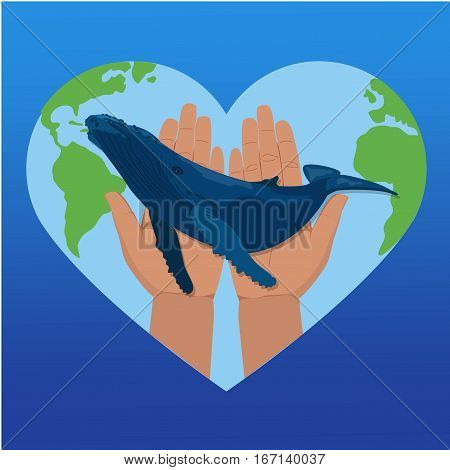 Blue Whale Illustration