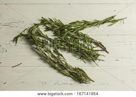 Bunch of Rosemary on White Wooden background