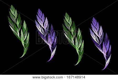 an abstract fractal leaf and a feather