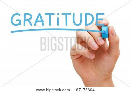 Hand writing Gratitude with blue marker on transparent wipe board.