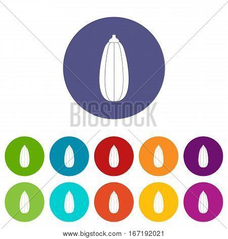 Zucchini vegetable set icons in different colors isolated on white background