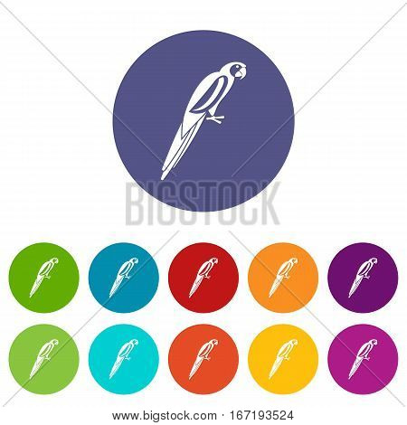 Parrot set icons in different colors isolated on white background