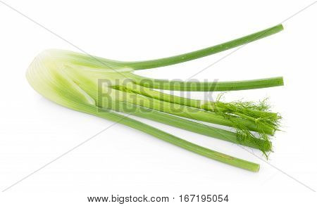 close up of fresh fennel bulb isolated on white background
