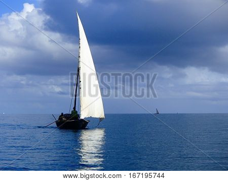 Traditional Arab Dhow- White Sail on a Calm Blue Sea