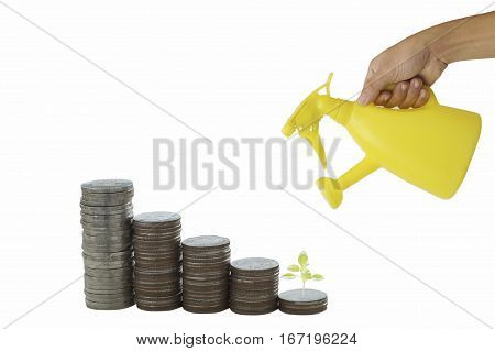 hand holding yellow watering can with pile of money coins and small tree isolated on white backgroundconcept in safe account and finance of business