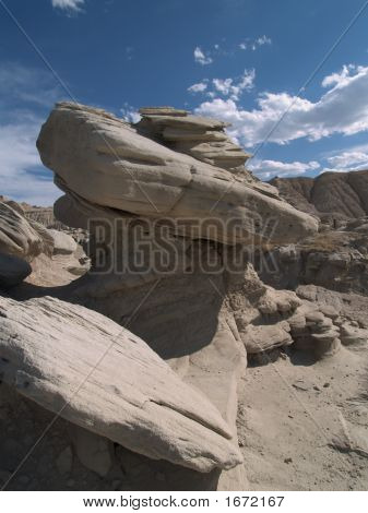 ヒキガエル便岩周辺