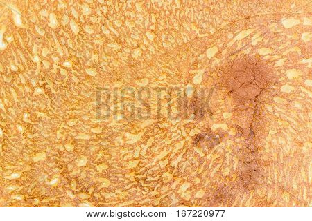 Texture of a cooked thin pancake closeup