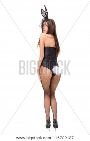 Seksi Playgirl bir Bunny kostüm giymiş