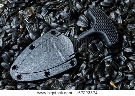 Urban Knife In Case On Sunflower Seed.. Vertical Position.