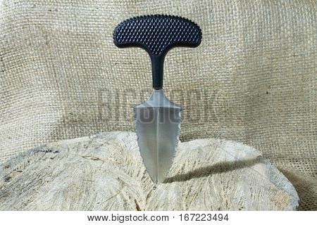 Edc Knife In Stump.