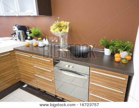 the modern kitchen interior close-up detail  photo