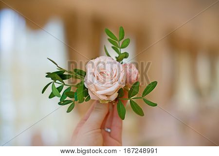 Boutonniere with a pink rose and a branch of pistachios in hand. Wedding concept