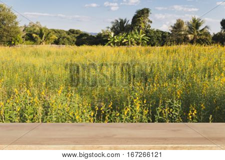 Sunhemp Flower Filed ,pummelo (blur Image) With Selected Fccus Wood Table For Display Your Product