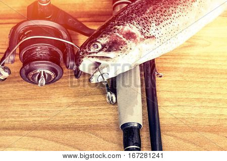 Fresh Rainbow Trout Closeup,soft Lighting Effect.