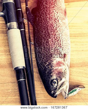 Fresh Rainbow Trout Closeup,soft Lighting Effect.
