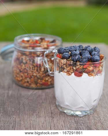 Breakfast in the garden: coconut yogurt topped with grain free granola made with mixed nuts seeds raisins with blueberries on the top selective focus