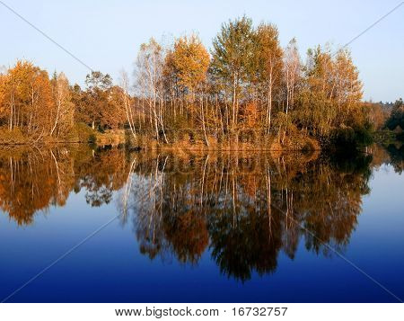 Alberi autunnali su specchio d'acqua.